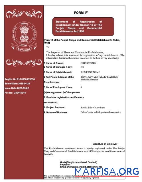 Realistic India Punjab registration certificate Word and PDF template, version 2